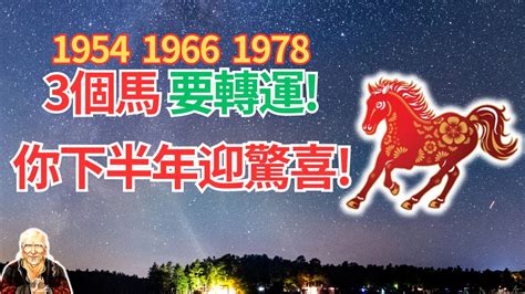 1978屬馬五行|五行揭秘：78年馬人財運